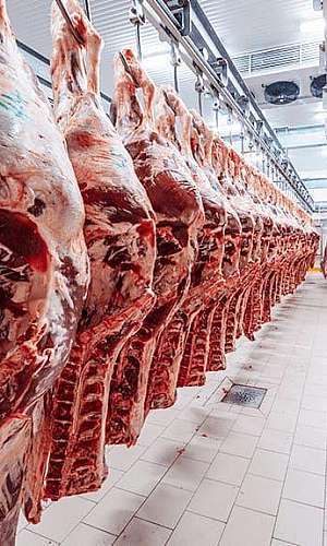 câmara frigorífica câmara frigorífica