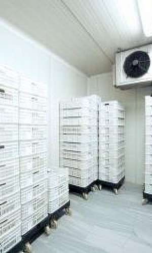 Manutenção camara frigorifica RJ  Manutenção camara frigorifica RJ