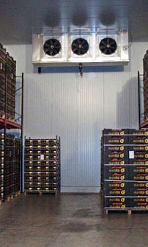 Manutenção em câmaras frigoríficas Manutenção em câmaras frigoríficas