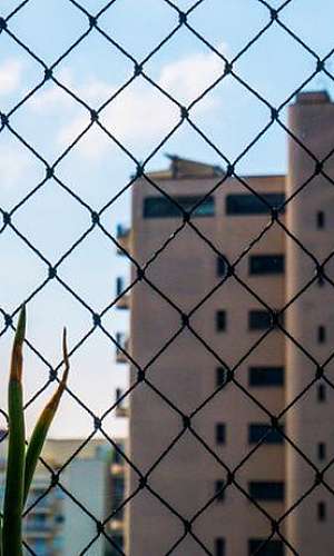 Rede de proteção em São Bernardo do Campo Rede de proteção em São Bernardo do Campo